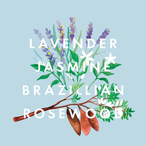 A bouquet of lavender, jasmine, and Brazilian rosewood flowers with visible text reading Lavender Jasmine Brazilian Rosewood on a light blue background.