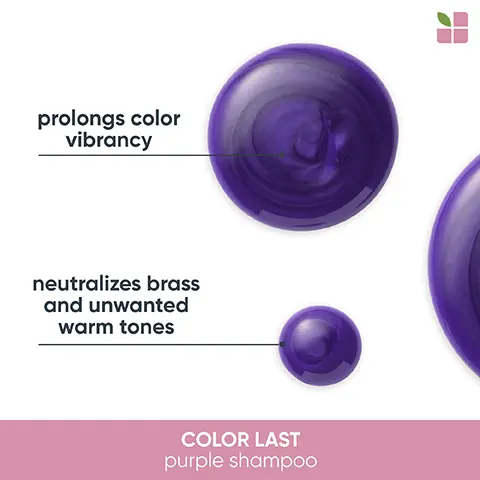 image 1, prolongs color vibrancy neutralizes brass and unwanted warm tones COLOR LAST purple shampoo Image 2, prolongs color vibrancy neutralizes brass and unwanted warm tones PROFESSIONAL BIOLAGE COLOR LAST purple shampoo shampooing violet FOR BLONDE HAR with one-bros volt pigments POUR CHEVEUX BLONDS avec des pigments volets 84 FL02/250 me