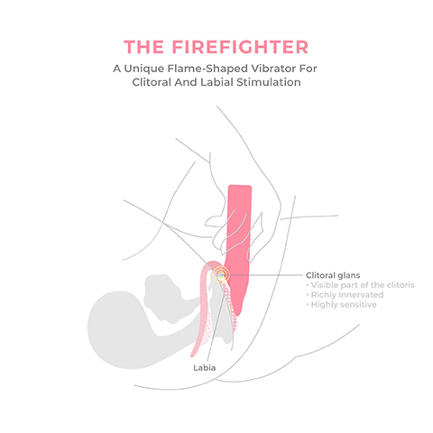 A Unique Flame-Shaped Vibrator For Clitoral And Labial Stimulation Labia Clitoral glans Visible part of the clitoris Richly innervated Highly sensitive