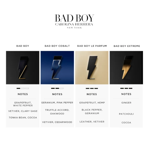 BAD BOY CAROLINA HERRERA NEW YORK BAD BOY BAD BOY COBALT BAD BOY LE PARFUM  BAD BOY EXTREME NOTES NOTES NOTES NOTES GRAPEFRUIT, WHITE PEPPER VETIVER, CLARY SAGE TONKA BEAN, COCOA GERANIUM, PINK PEPPER TRUFFLE ACCORD,  OAKWOOD GRAPEFRUIT, HEMP GINGER BLACK PEPPER, GERANIUM PATCHOULI VETIVER, CEDARWOOD LEATHER, VETIVER COCOA